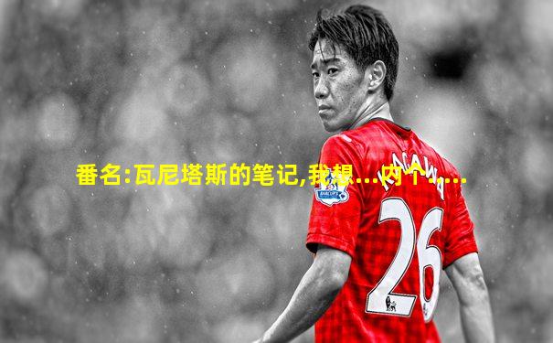 番名:瓦尼塔斯的笔记,我想...内个.....